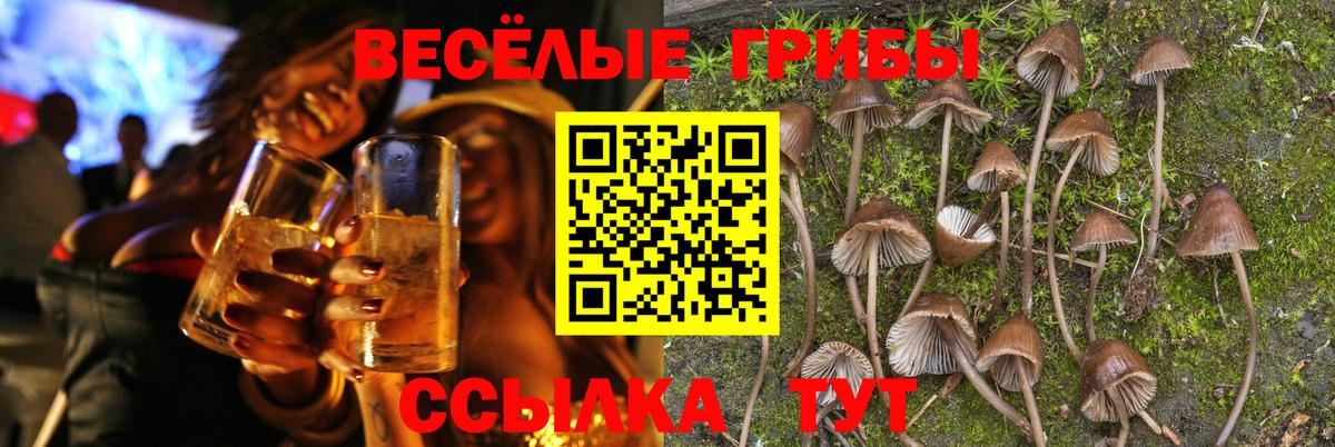 Галлюциногенные грибы MAGIC MUSHROOMS Нефтекамск