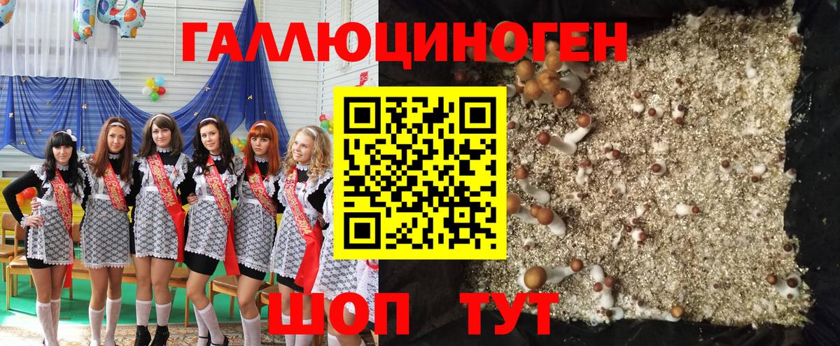 купить наркоту  Вход с VPN  Нефтекамск  Псилоцибиновые грибы мицелий 